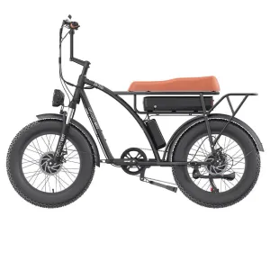 GOGOBEST GF750 Electric Bike - US