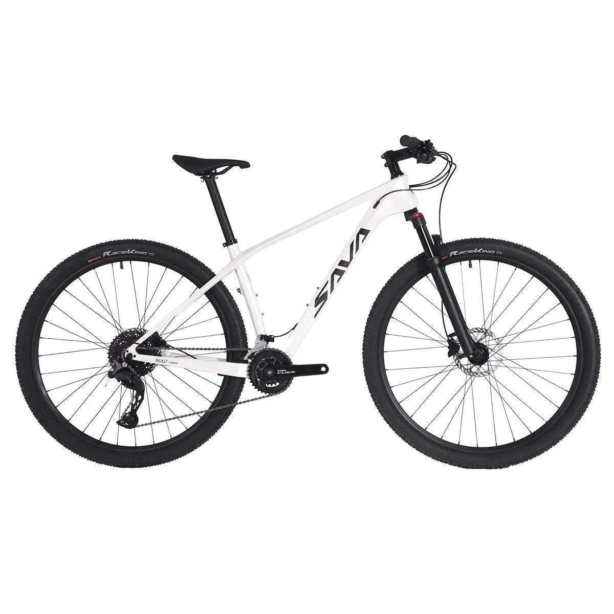 BEAST U4.0 Carbon Hardtail Mountain Bike 20S