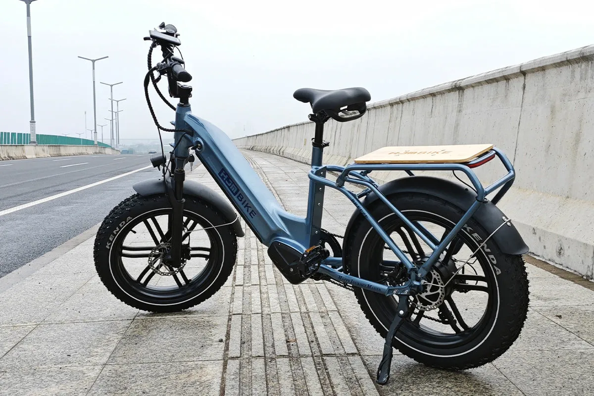 Breeze 20 inch Fat Tire Cargo Ebike(Fully Assembled)