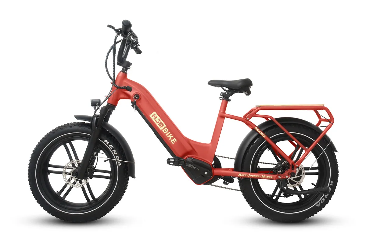 Breeze 20 inch Fat Tire Cargo Ebike(Fully Assembled)