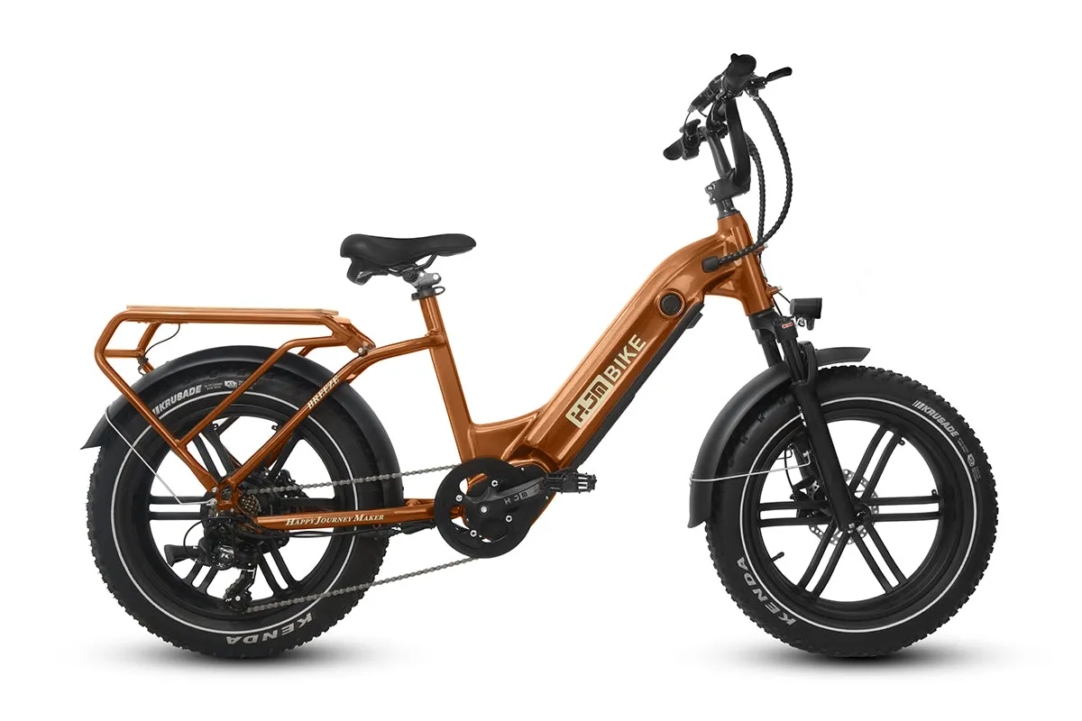 Breeze 20 inch Fat Tire Cargo Ebike(Fully Assembled)