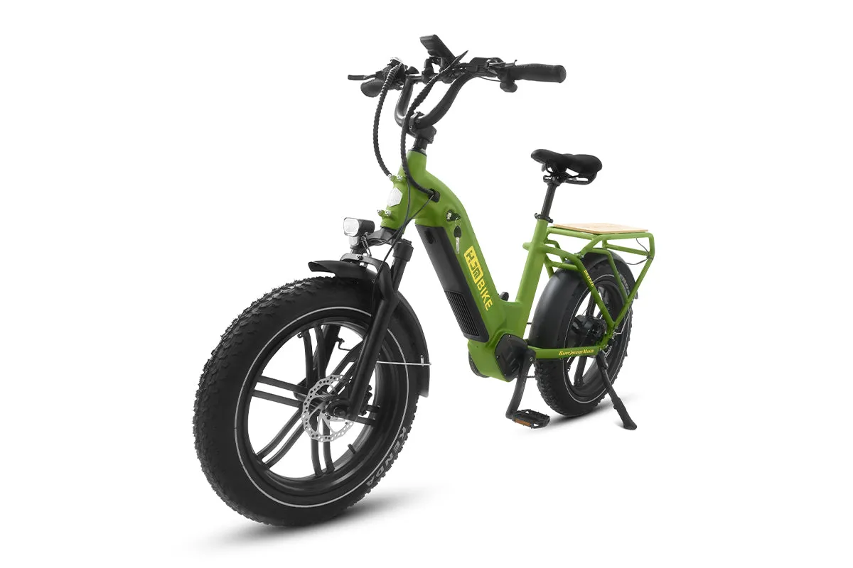 Breeze 20 inch Fat Tire Cargo Ebike(Fully Assembled)