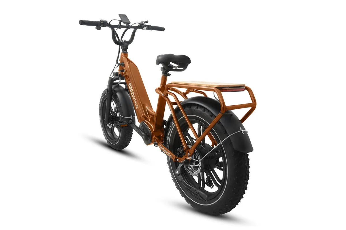 Breeze 20 inch Fat Tire Cargo Ebike(Fully Assembled)