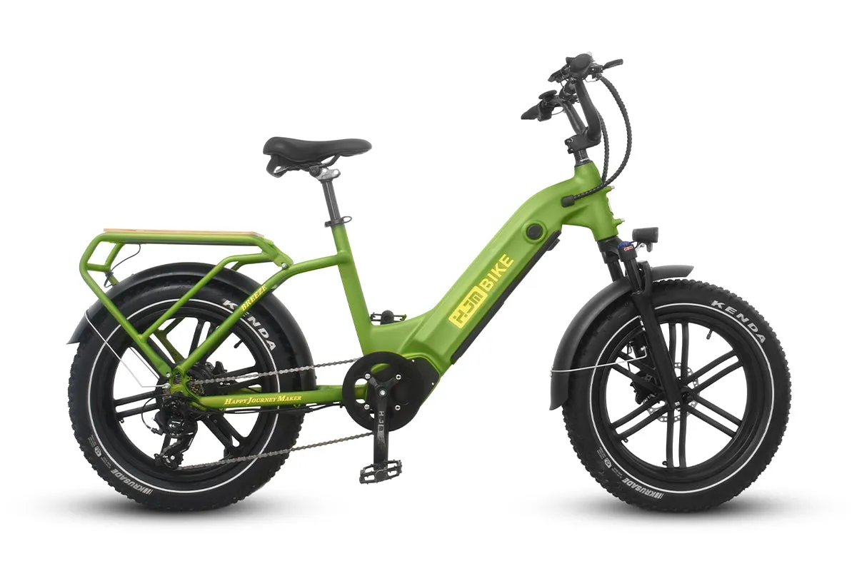 Breeze 20 inch Fat Tire Cargo Ebike(Fully Assembled)