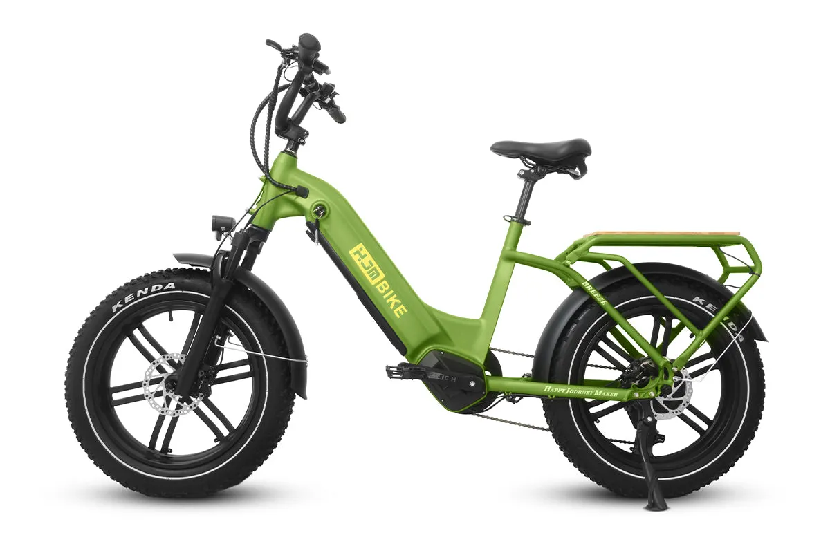 Breeze 20 inch Fat Tire Cargo Ebike(Fully Assembled)