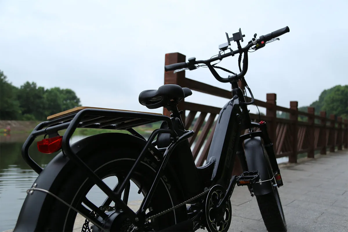 Breeze 20 inch Fat Tire Cargo Ebike(Fully Assembled)