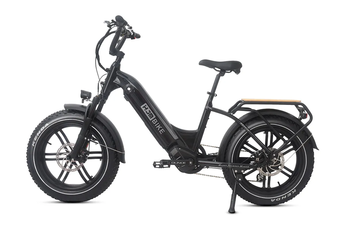 Breeze 20 inch Fat Tire Cargo Ebike(Fully Assembled)