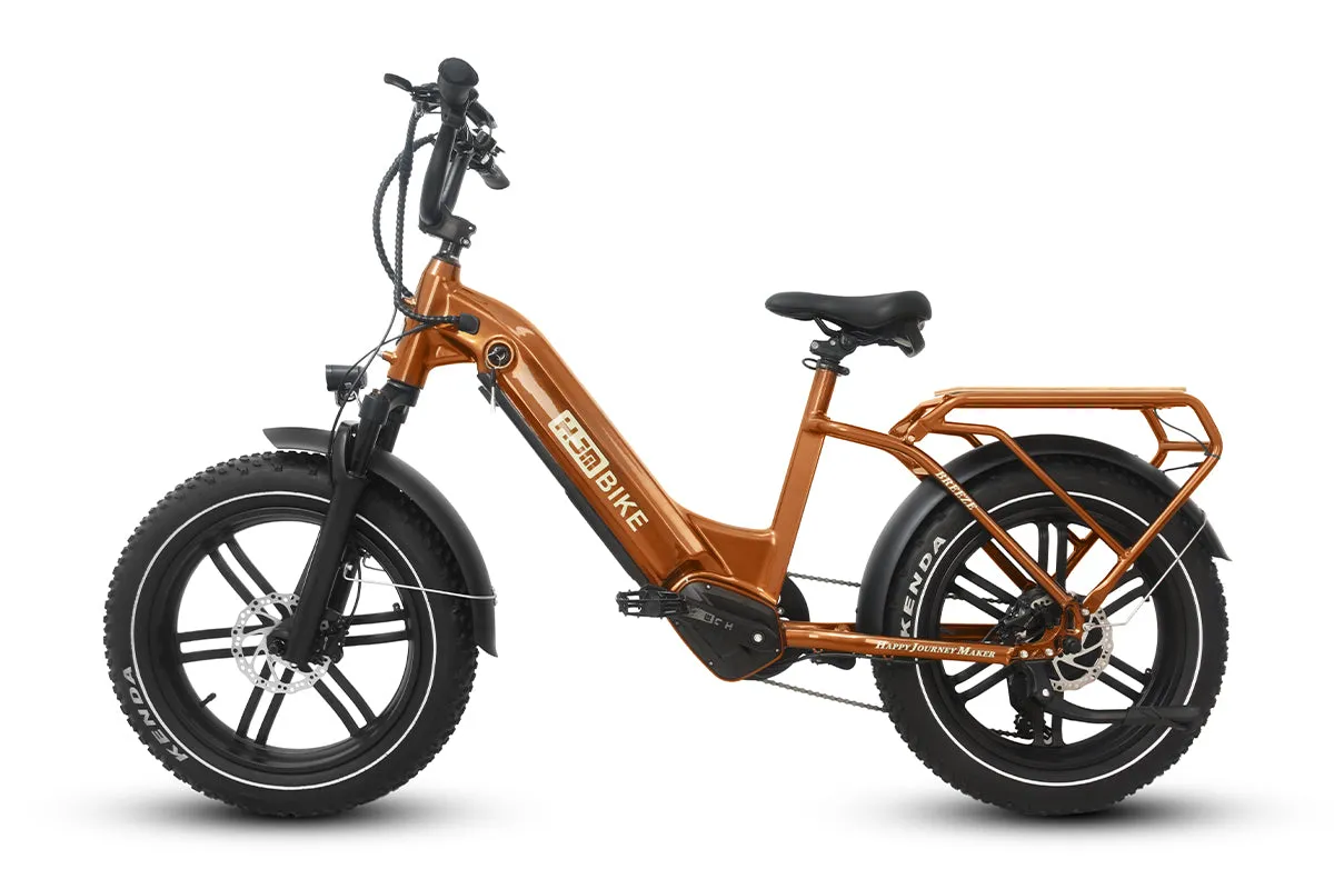 Breeze 20 inch Fat Tire Cargo Ebike(Fully Assembled)