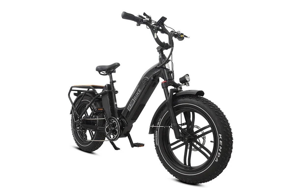 Breeze 20 inch Fat Tire Cargo Ebike(Fully Assembled)