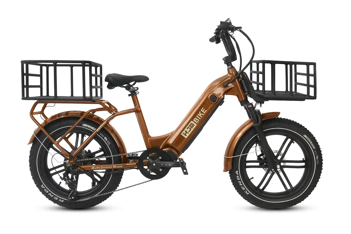 Breeze 20 inch Fat Tire Cargo Ebike(Fully Assembled)