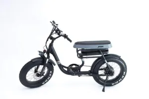 GreenBike Mule 500W 48V 12.8 Ah 2-Seater Electric Fat Tire Bike