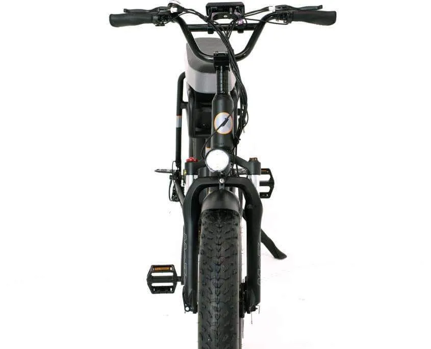 GreenBike Mule 500W 48V 12.8 Ah 2-Seater Electric Fat Tire Bike