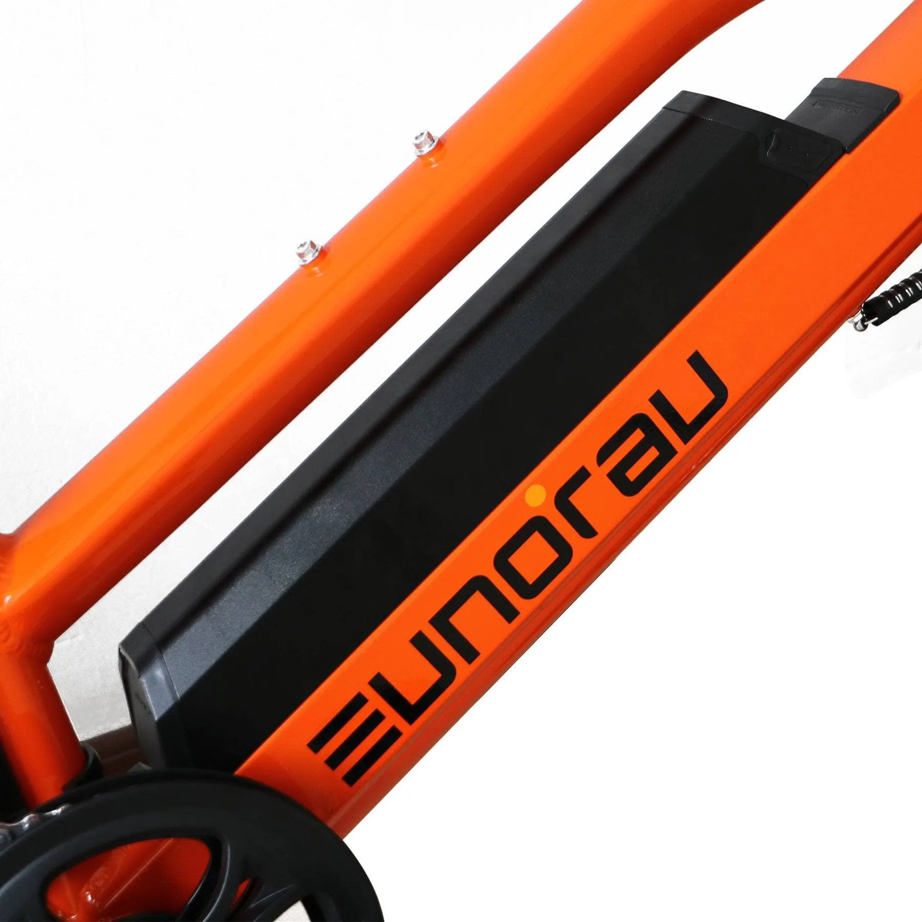 The Eunorau 20" City Tire Model G30-CARGO E-Bike